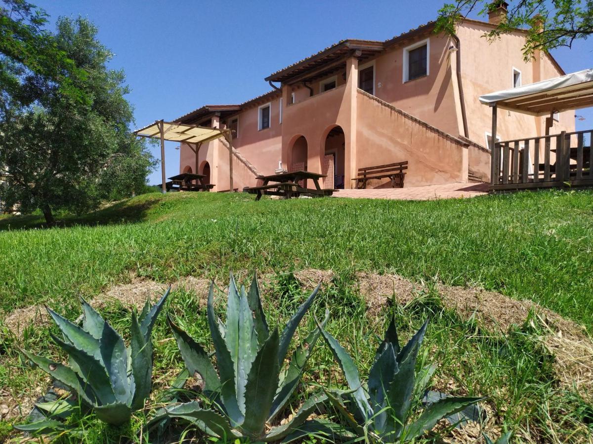 Antonella House -Podere Della Collina Palaia Exteriér fotografie