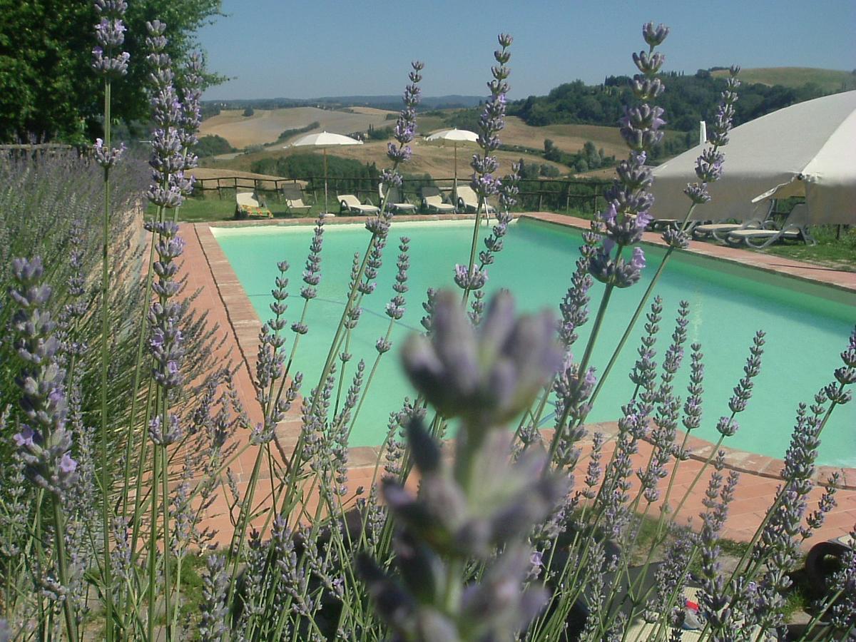 Antonella House -Podere Della Collina Palaia Exteriér fotografie